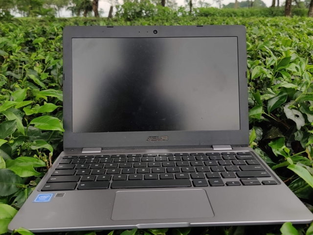 Test Du Chromebook C223 D'Asus (2021)