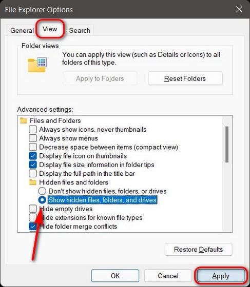How to Show Hidden Files and Folders in Windows 11 [Guide] | Beebom