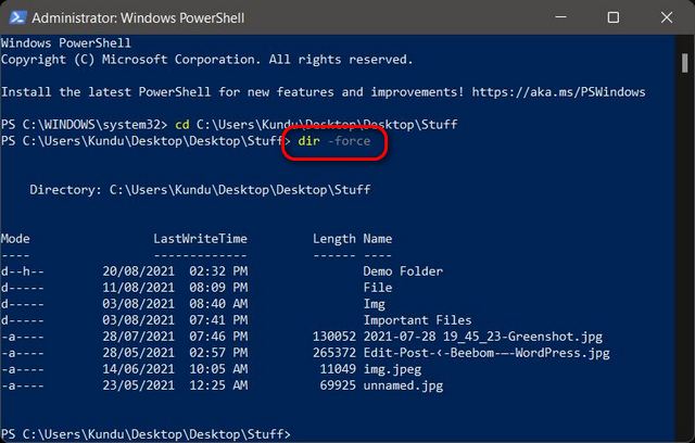 How to Show Hidden Files and Folders in Windows 11 [Guide] | Beebom