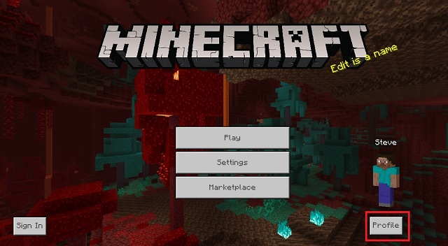 خيار ملف تعريف Minecraft Bedrock Edition