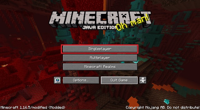 Option Minecraft Single Player