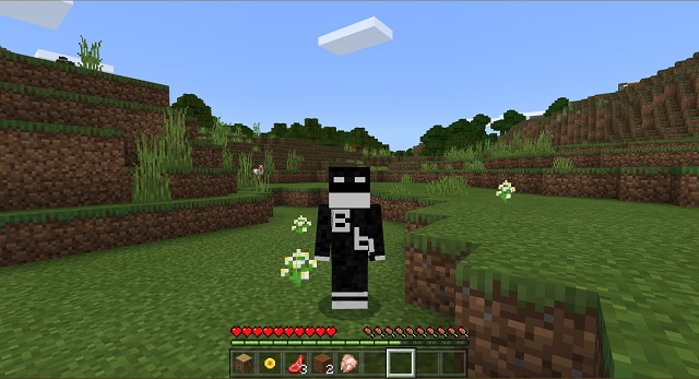 Minecraft in-game imported skin