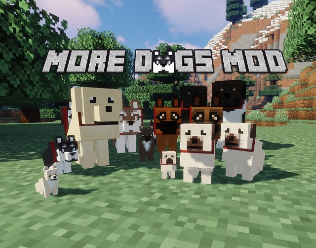 25 Best Minecraft Mods You Must Install in 2021 - 64