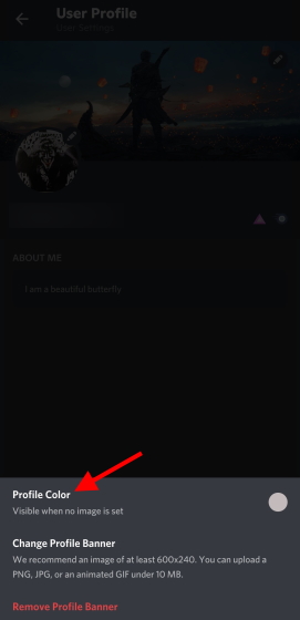 How to Customize Your Discord Profile on PC and Mobile - 87