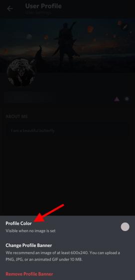 Dist Profile Color How to Customize Your Discord Profile on PC and Mobile | Beebom