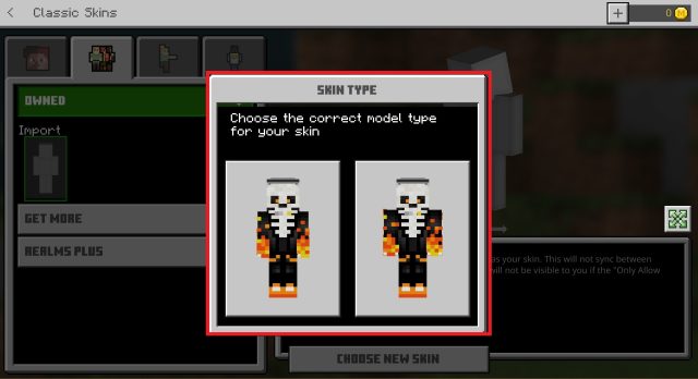 Bedrock Minecraft Skins