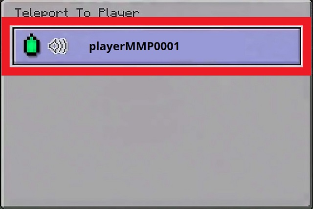 Teleport to Player