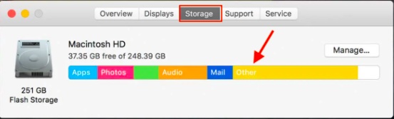 what is included in mac system storage