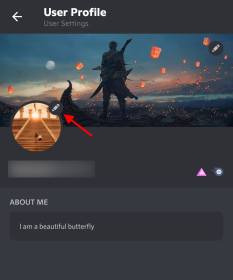 How to Customize Your Discord Profile on PC and Mobile - 75