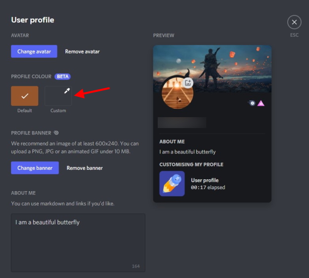 Discord Profile Example