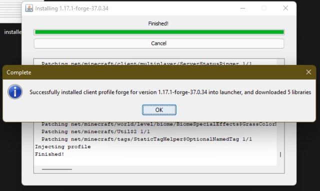 minecraft forge installer won