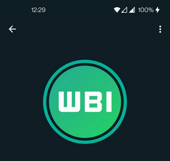 whatsapp green ring