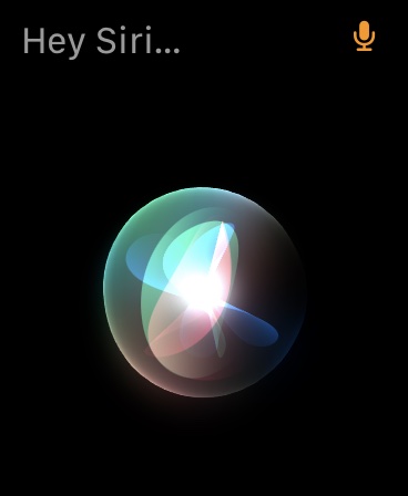 Activate Siri on Apple Watch 