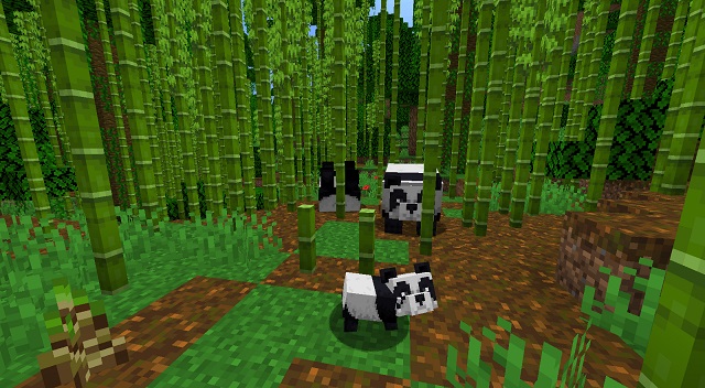 Biome minecraft de la jungle de bambou