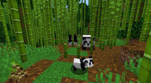 Bamboo Jungle Minecraft biome