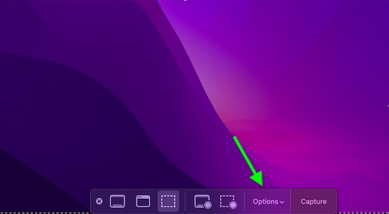 Click on the Options in the screen capture menu