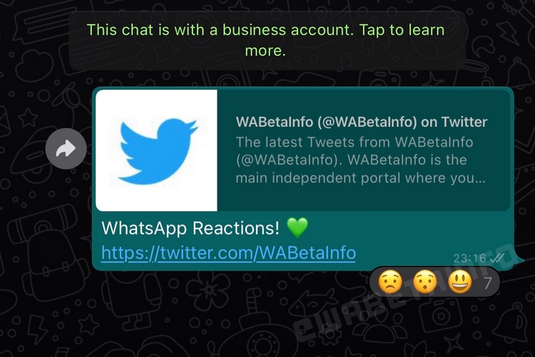 WhatsApp Message Reactions First Look