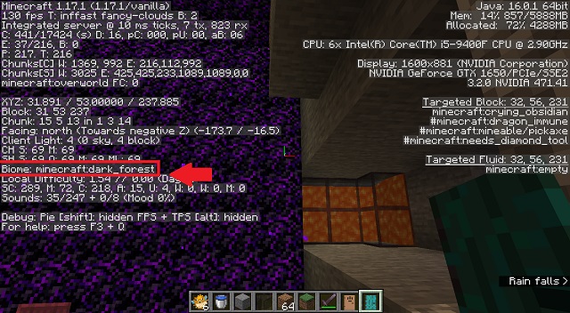 MC Infomation Biome Name في قائمة F3