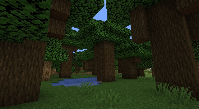 Minecraft Dark Forest Biome