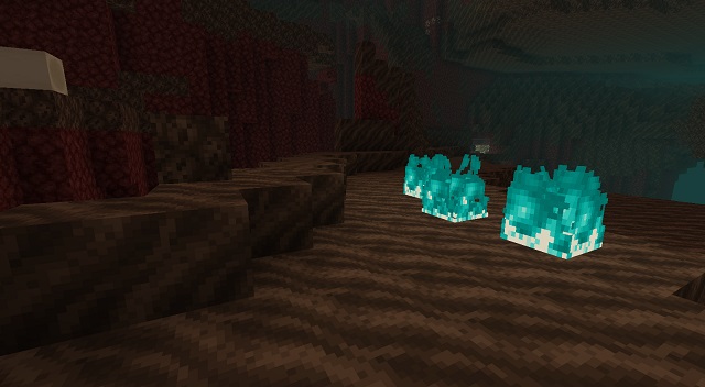 Soul Sand Valley Biome