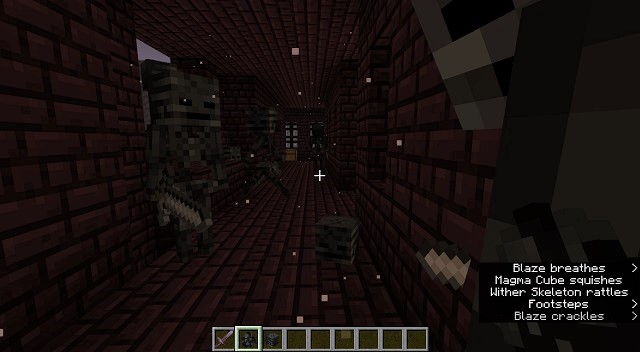 Skull Wither Skeleton in Minecraft