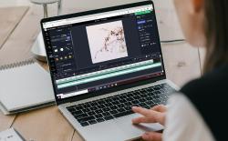 kapwing video editor featured