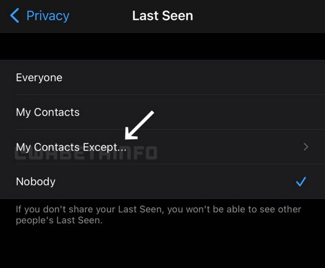 last seen whatsapp privacy