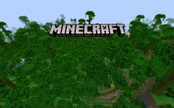 10 Best Minecraft Jungle Seeds to Try in 2021