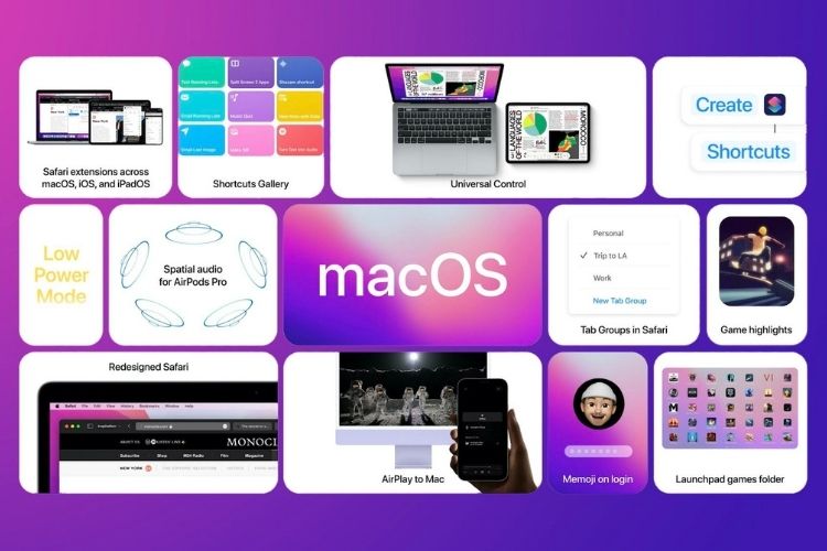 problems with macos monterey