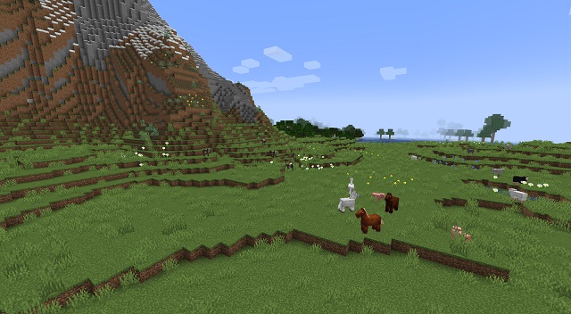Minecraftの動物農場の種
