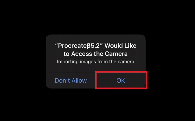 Camera Access on iPad