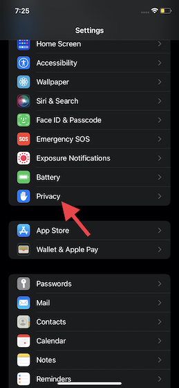 Choose Privacy in iOS settings 