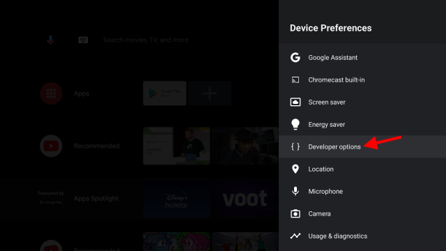 Developer options