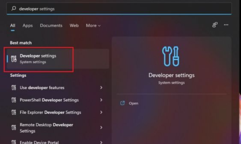 developer settings windows 11
