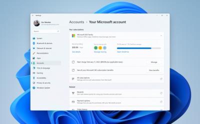 Microsoft Rolls out a Redesigned Account Settings Page with Latest Windows 11 Insider Build