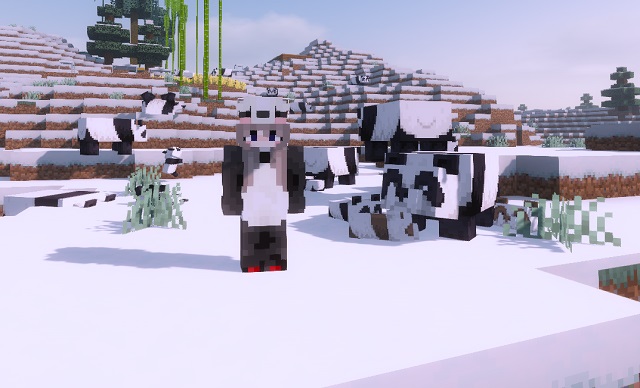 Panda Girl Skin MC