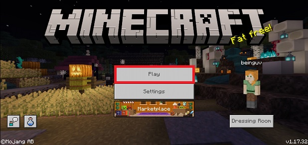Play Minecraft Android PE