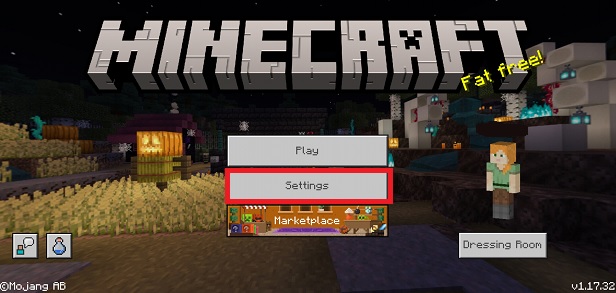 Settings Page on Minecraft Android