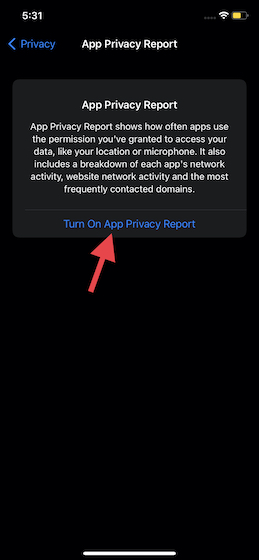 Turn on App Privacy Report in iOS 15