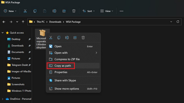 copy path of package