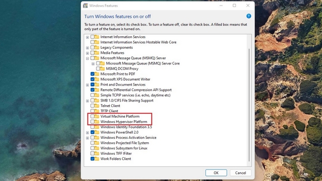 disable windows components