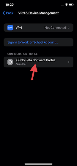 tap on the iOS Beta Software Profile