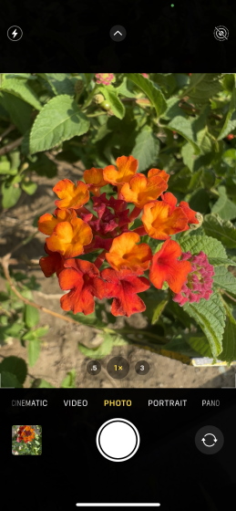 How to Take Macro Photos and Videos on iPhone 13 Pro | Beebom