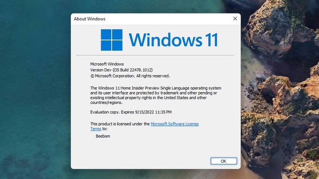 winver to check win11 version