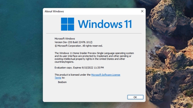 winver للتحقق من إصدار win11