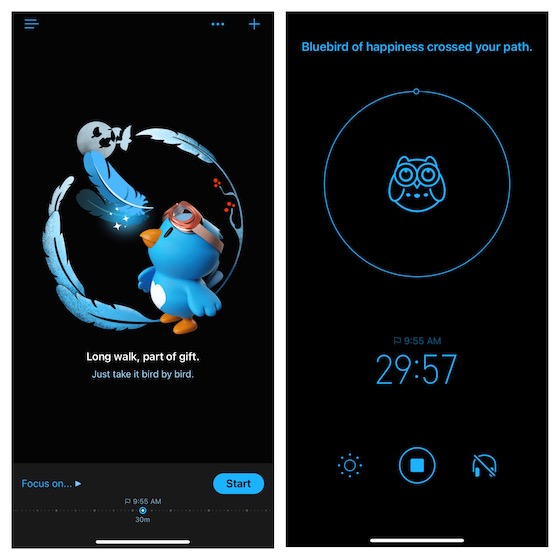 Bluebird app for iOS 