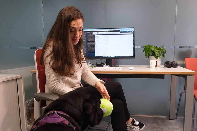 This Researcher Developed a ‘DogPhone’ for Her Pet Labrador to Video Call Her Anytime
https://beebom.com/wp-content/uploads/2021/11/Dogphone-feat..jpg?w=750&quality=75