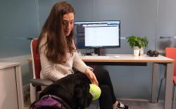 A Researcher Developed a "DogPhone" for Her Pet Labrador to Video Call Her Anytime from Home