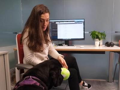 A Researcher Developed a "DogPhone" for Her Pet Labrador to Video Call Her Anytime from Home