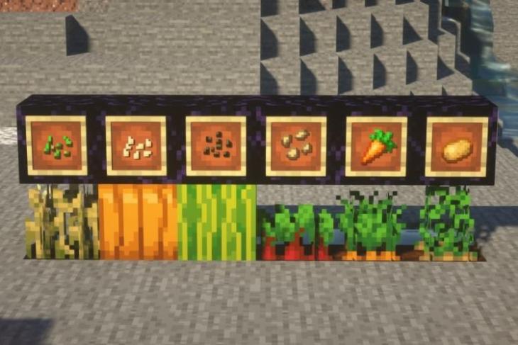 How to Plant Seeds and Grow Crops in Minecraft (2022 Guide) |